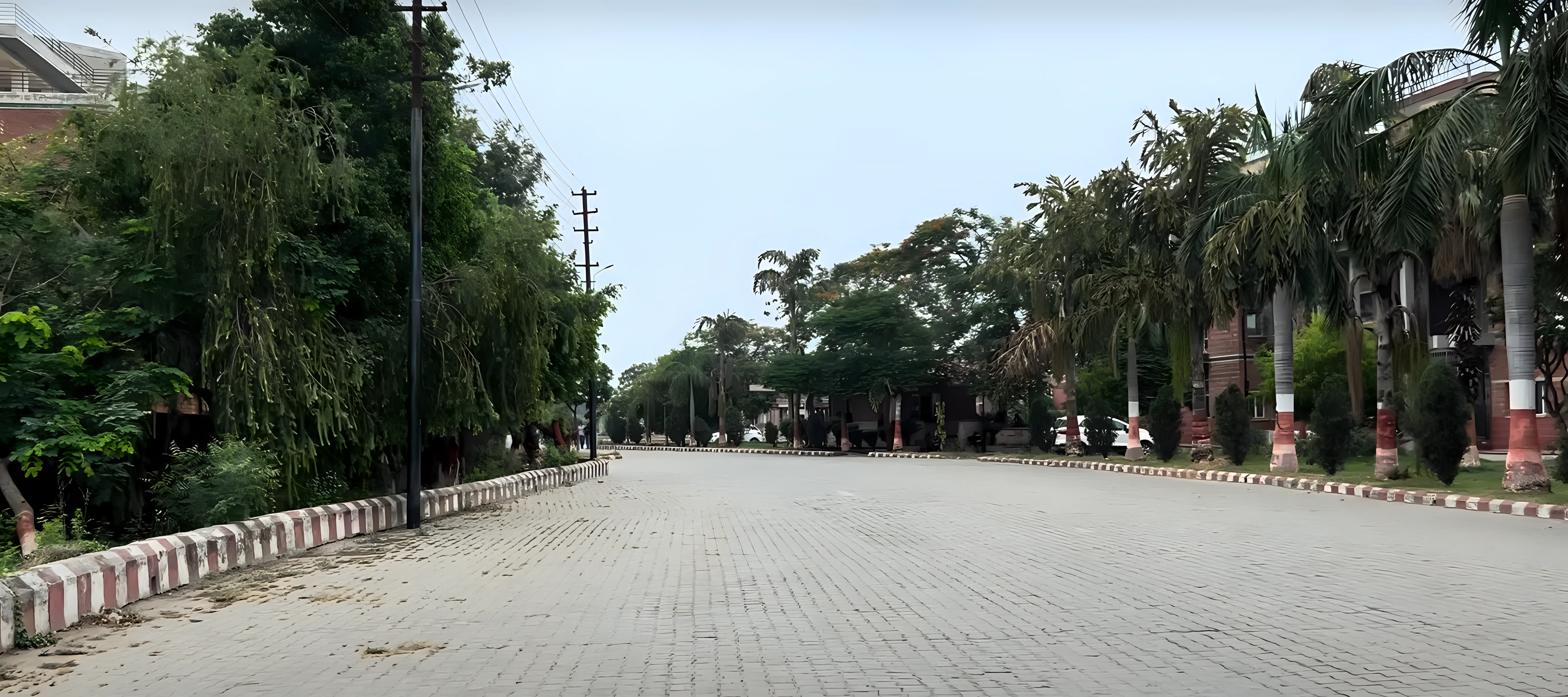 Vidya University Campus photo 9